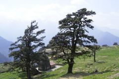 Tempel im Himalaya